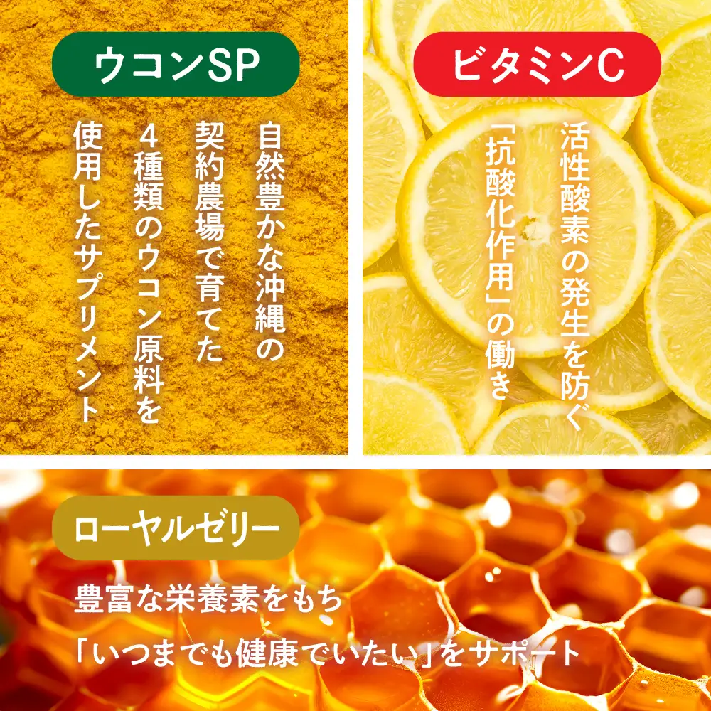 健康食品 3種 詰め合わせ ウコンsp(1粒330mg×100粒) ビタミンCプラスクエン酸 アセロラ風味(350mg×90粒) ローヤルゼリープラスヒアルロン酸(1粒500mg×100粒)