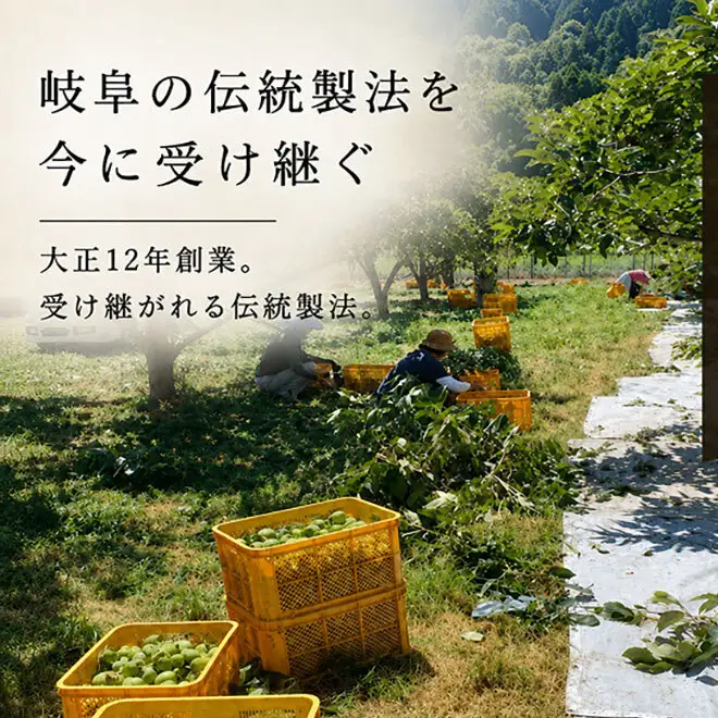 岐阜の柿渋 1L 柿渋 柿 かき 天然塗料
