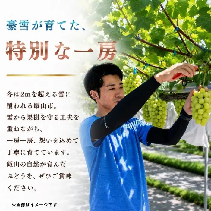 【2026年】贈答用 シャインマスカット 2房（約1kg以上）