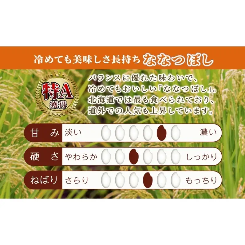 【令和7年産 定期便3ヵ月】ななつぼし 米 5kg 北海道産