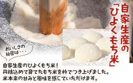 餅【白もち 杵つき餅】予約受付 20個 約1kg 自家製米 ヒヨクモチ 【11月上旬より順次出荷予定】