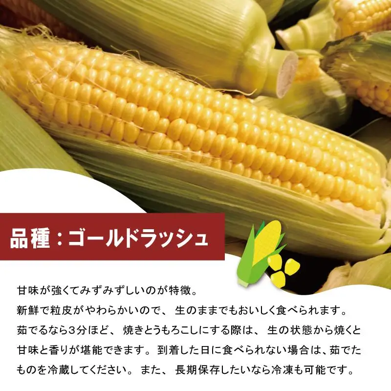 明和町産 朝採れ とうもろこし ゴールドラッシュ 10本～12本 BBQ 人気 トウモロコシ 生 野菜 新鮮 採れたて 産地直送 朝どれ 甘い 期間限定 国産 旬 夏野菜 きたむら