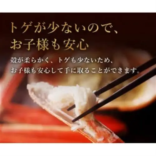 【蟹セレブ】ズワイガニ(紅ズワイガニ)1.8kg箱詰め(600g前後×3杯)【配送不可地域：離島・北海道・沖縄県・東北・関東・信越、北陸・東海・九州】【1543630】