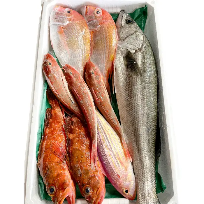 旬の鮮魚ＢＯＸお任せセット（梅）【鮮魚 約5kg 冷蔵 旬 魚 さかな 天然 天然魚 新鮮 地魚 産地直送 水揚げ次第発送 おまかせ セット 詰め合わせ お取り寄せ 大田市 和江漁港】