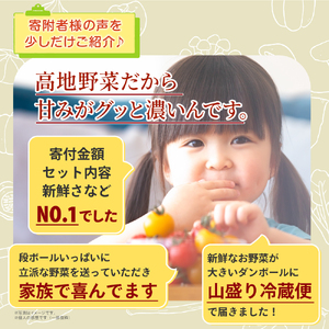 MS-04　新鮮朝採れ野菜セット 頒布会（計3回）