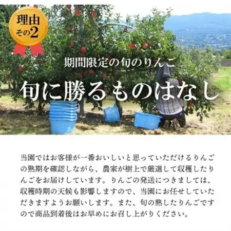 【南信州あじさい農園】葉とらずりんご(シナノリップ)約5kg【配送不可地域：離島】【1592846】