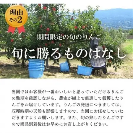【南信州あじさい農園】葉とらずりんご(紅玉)約3kg【配送不可地域：離島】【1593196】