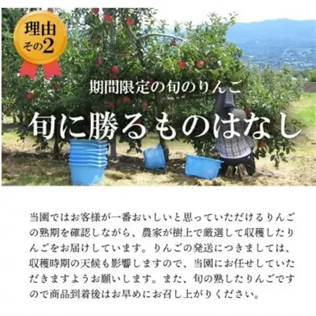 葉とらずりんご　紅玉　約9kg【配送不可地域：離島】【1593198】