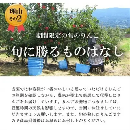 葉とらずりんご　シナノゴールド　約3kg【1593256】