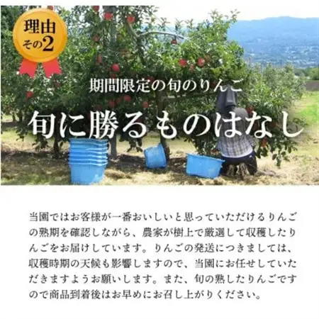 葉とらずりんご　シナノゴールド　約10kg【1594097】