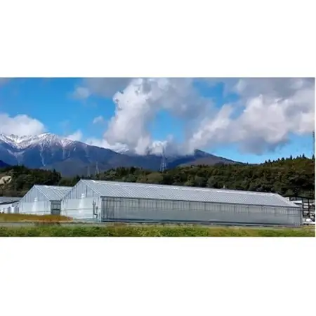ミニトマト ～真っ赤な宝石1kg～　6月下旬～9月まで順次発送します。【配送不可地域：離島】【1594447】