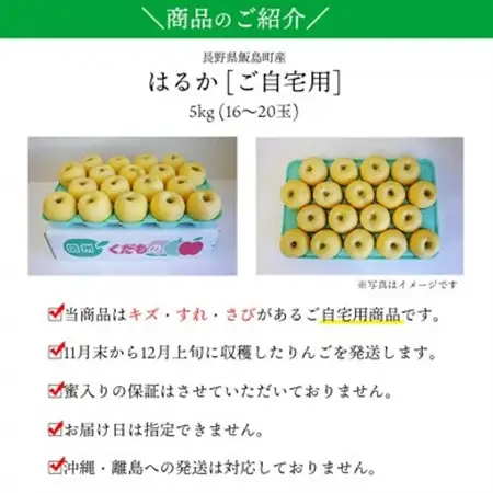 【桃沢晴香園】はるか(りんご)5kg　ご自宅用【配送不可地域：離島・沖縄県】【1606259】