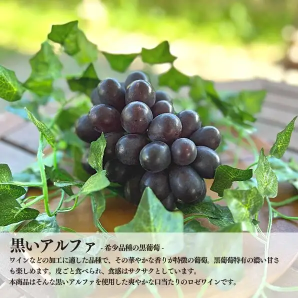 ワイン 希少種ぶどうのロゼワイン BLACK DAWN(黒いアルファ)1本(375ml)(岡山県産) 【KF-S010-04】