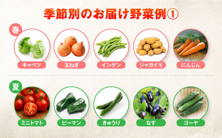 【一人暮らしに】自然栽培・旬の野菜詰め合わせ 五島市/ぷらっと農園 [PDS005]