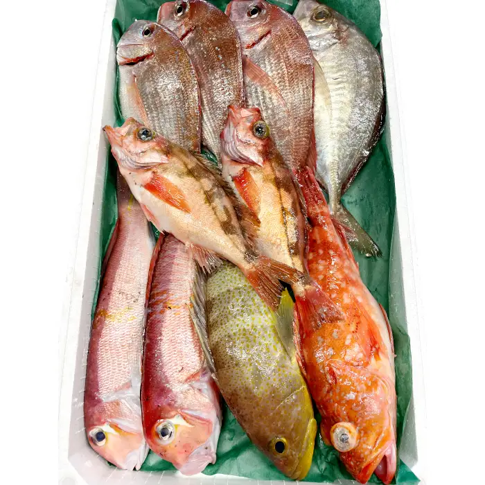 旬の鮮魚ＢＯＸお任せセット（竹）【鮮魚 約5kg 冷蔵 旬 魚 さかな 天然 天然魚 新鮮 地魚 産地直送 水揚げ次第発送 おまかせ セット 詰め合わせ お取り寄せ 大田市 和江漁港】