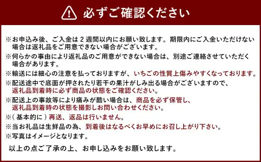 【3回定期便】あまおう 3パック いちご 苺 イチゴ フルーツ 果物【2027年1月下旬～4月下旬発送予定】