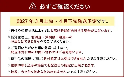 春のあまおう（2L・2A・G規格以上 4パック）いちご 苺 イチゴ フルーツ 果物【2027年3月上旬～4月下旬発送予定】