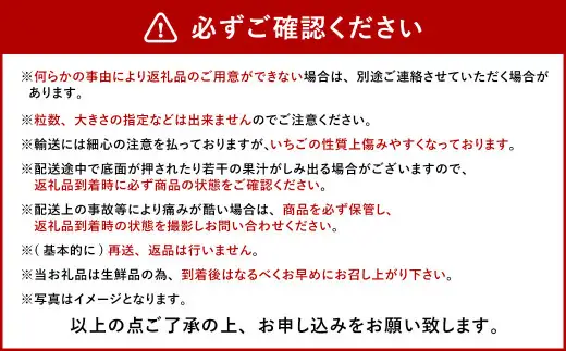 今季初採れあまおう 2パック【数量限定】【2026年12月上旬～2027年1月下旬発送予定】あまおう いちご イチゴ 苺 フルーツ 果物