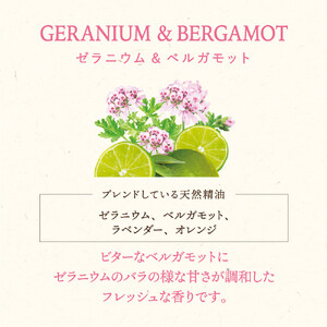 木と果 消臭クリップ つけかえ用 ゼラニウム ＆ ベルガモット 晴香堂 車用 芳香剤 フレグランス