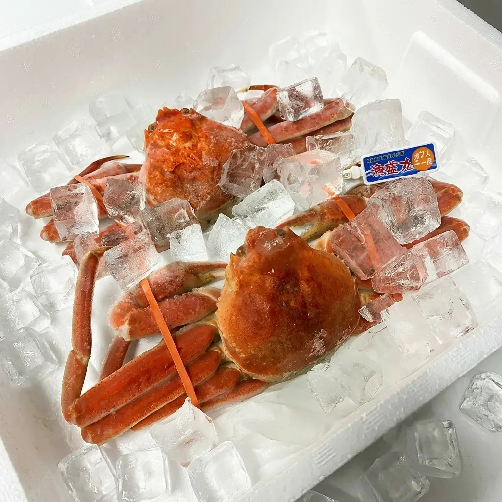 名立産 本ずわいがに姿 2尾 名立産ずわいがに 約1.0kg
