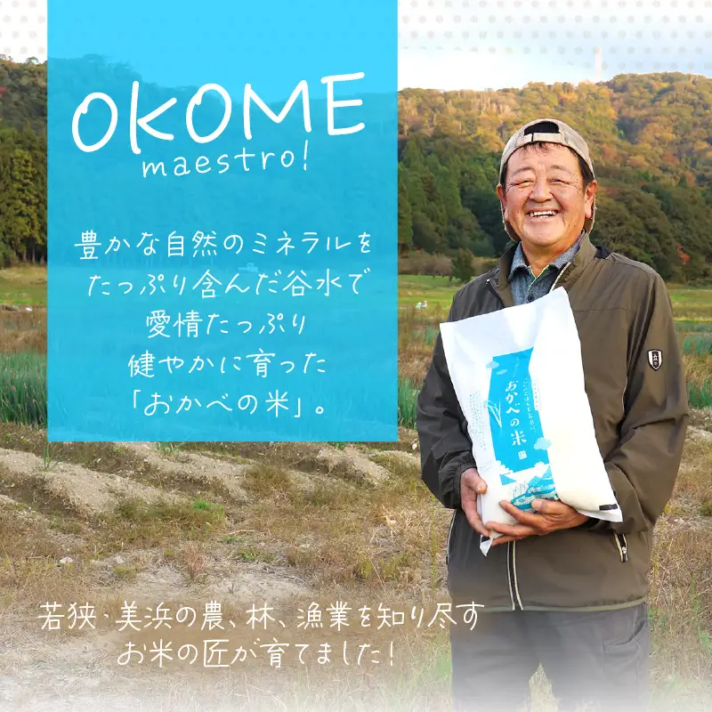 令和8年産 愛情たっぷり健やかに育った もちもち 甘い コシヒカリ（白米）10kg【新米 米】 [m29-b007]