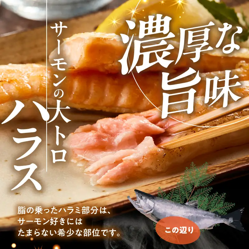 【訳あり】アトランティックサーモン ハラス 2kg 