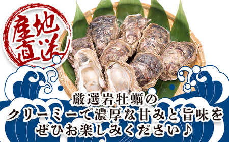 【先行予約】海鮮バーベキューセット(伊勢海老・岩ガキ) 3〜4人前 海鮮BBQ eb-0037