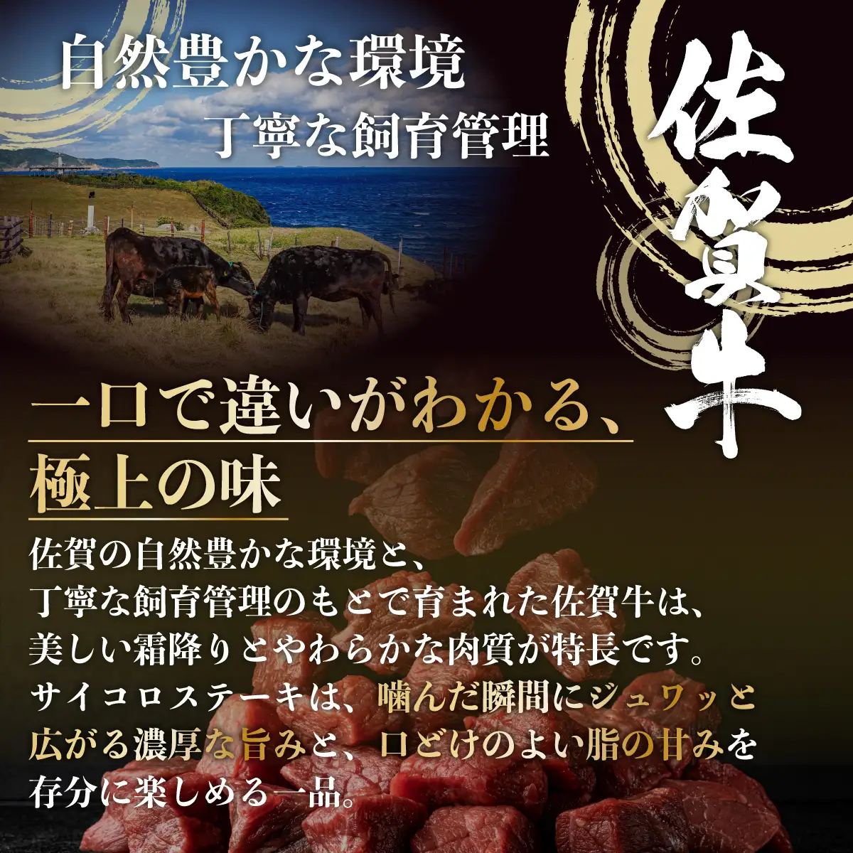 佐賀牛サイコロステーキ400g