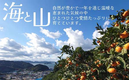 【手選別】有田 みかん 5kg（S～Lサイズ）※11月下旬～翌年1月中旬頃【hdm005】