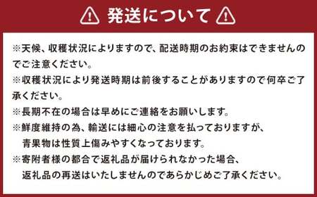 【2回定期便】いちご「あまおう」 約270g×2パック 計約1.08kg 苺 イチゴ 果物 フルーツ 【2027年1月上旬発送順次開始予定】