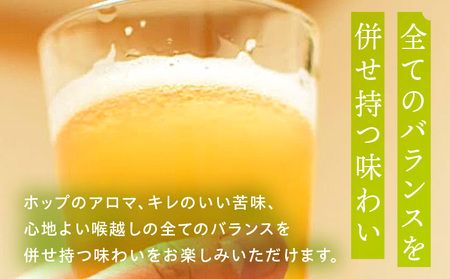 ノボル12缶セット ビール アルコール 飲料 大麦 大麦麦芽 ホップ ローカル ご当地 贈り物 ギフト お歳暮 お中元 缶ビール 缶 さけ 酒 お酒 宮崎ビール ブルワリー ノボルブルーイング クラフトビール 地ビール ノボル 冷蔵便