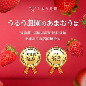 いちご 2027年2月より発送 うるう農園のあまおう大福キット(あまおう1パック＋大福6個セット) 果物 和菓子 生菓子 苺大福 フルーツ 和スイーツ 特別栽培 福岡県産 おやつ ※配送不可：離島