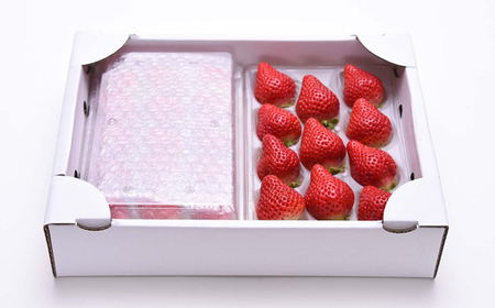 希少ないちご「あまえくぼ」250g以上×2パック いちご