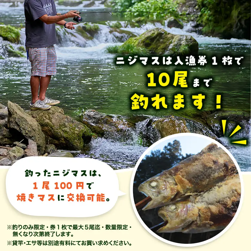 秋川国際マス釣場【B:ルアー釣りペア券】【1392926】