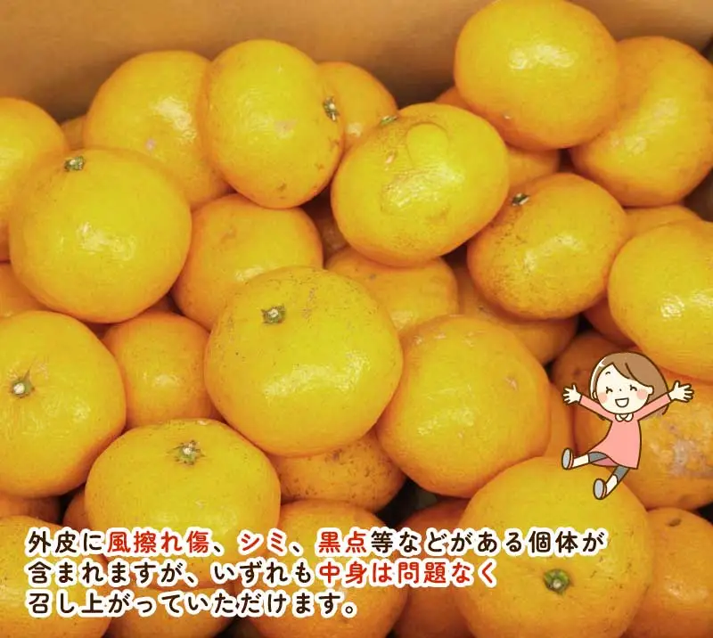 南柑20号 5.5kg ～ 6kg サイズミックス ふるくとファーム  かなこちゃんち 温州みかん 温州みかん B015-037009