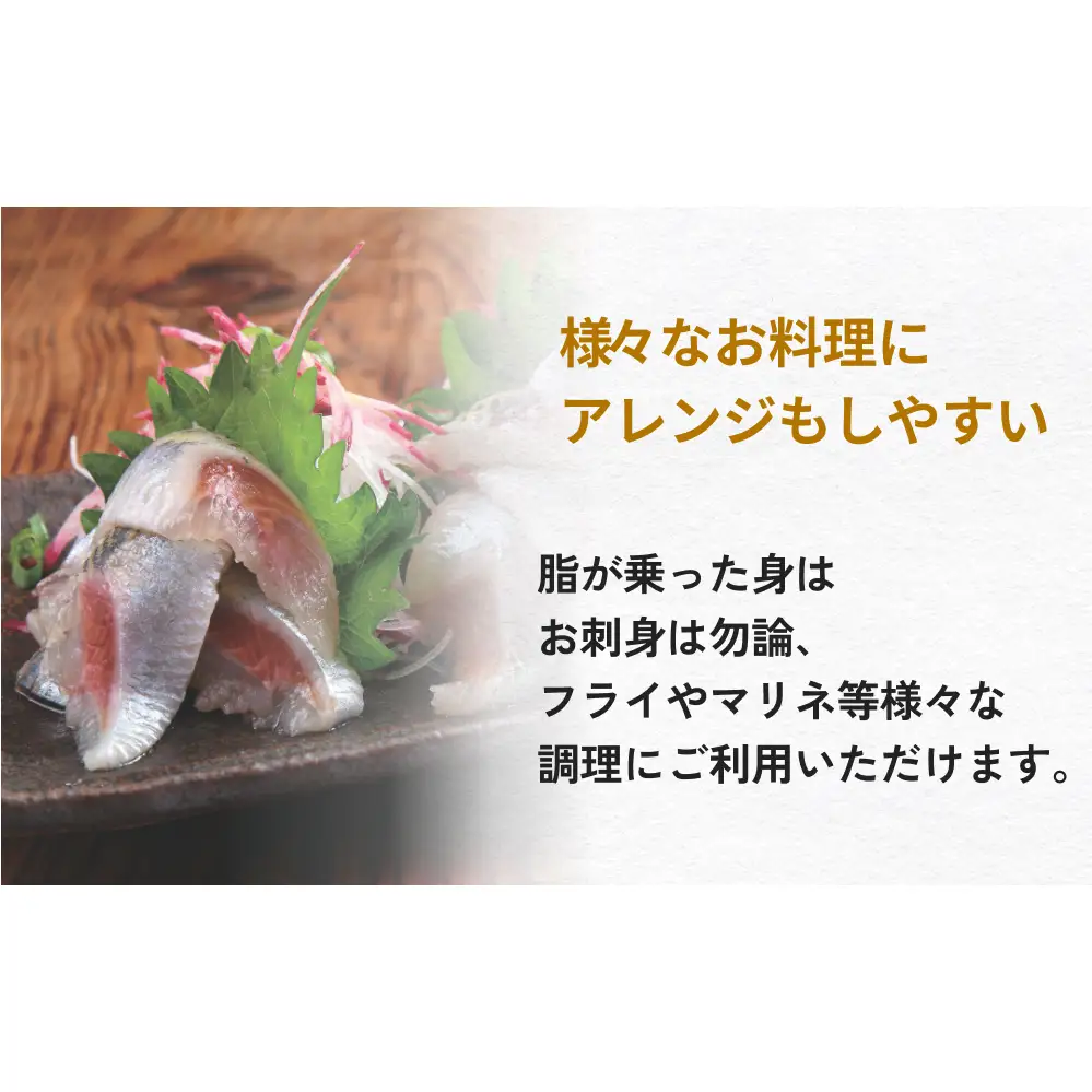 とろ金華いわしフィーレ 500g 金華いわし 鰯 いわし イワシ フィレ 切身 魚 魚介 海鮮 魚介類 急速冷凍