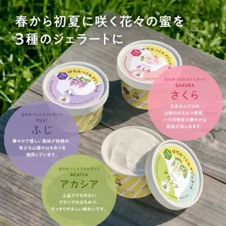 はちみつミルクジェラート10個セット(はちみつ2種各1瓶付き)【配送不可地域：離島】【1477521】