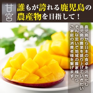 【130691】＜定期便・全10回＞鹿児島県産！南国の恵み！完熟マンゴー(1回のお届け1kg・2～3個入り)【甘宮】