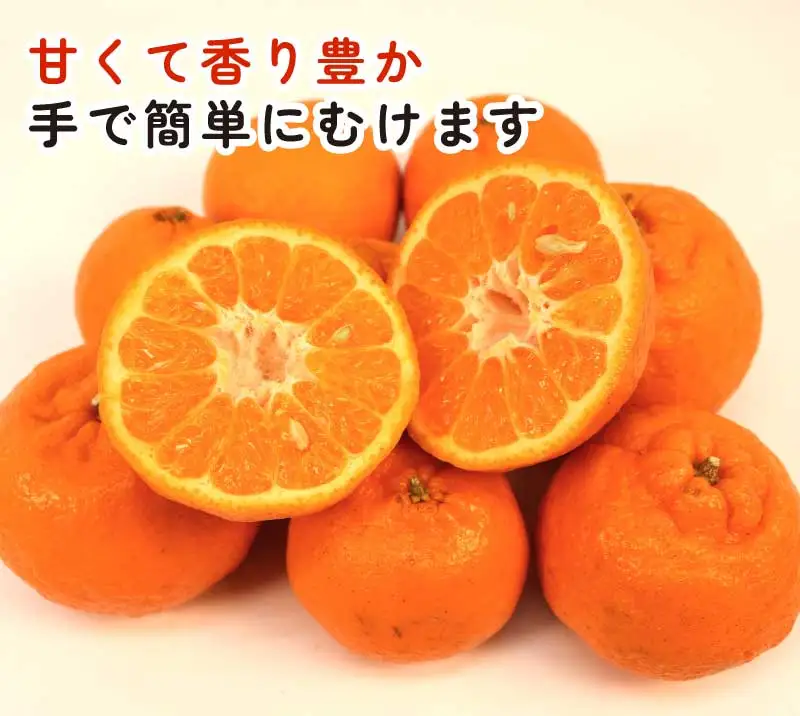 ポンカン 約5.5kg ～ 6kg ふるくとファーム かなこちゃん 先行予約 ポンカン B015-037010