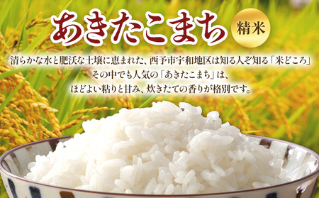  ＜令和7年度 米 あきたこまち 精米 10kg＞ 2025年産 単一原料米 単一米 5キロ 10キロ アキタコマチ お米 コメ こめ 白米 ご飯 ライス りの果樹園 愛媛県 西予市【常温】URK0017