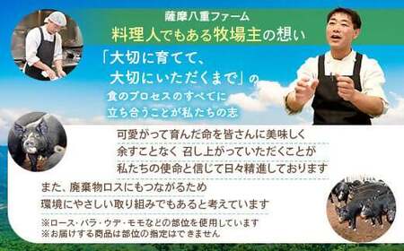 BS-046 かごしま黒豚ロース肉しゃぶしゃぶ用 1kg 株式会社薩摩八重ファーム
