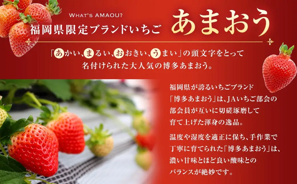 【3回定期便】博多 あまおう 4パック【2027年2月上旬～2027年4月下旬発送予定】