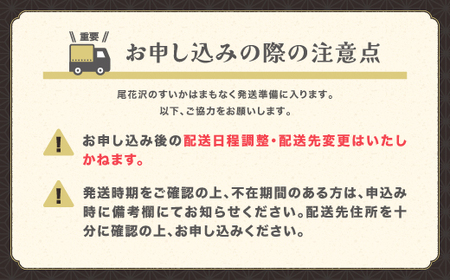 小玉スイカ ひとりじめBonBon 2玉令和8年産 sb-sukbx2