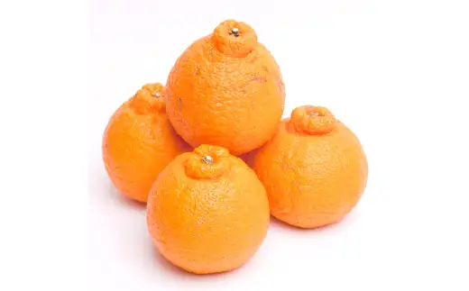不知火 厳選 7.5kg+250g（痛み補償分）/ みかん しらぬい 光センサー 選別 デコポン 柑橘 晩柑 和歌山 甘い 23000円 / ※2027年2月上旬～4月上旬ごろに順次発送予定 ※北海道・沖縄・離島への配送不可【ikd010-p-7d5B】