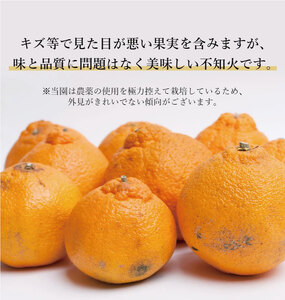 不知火 家庭用 7.5kg+250g（痛み補償分）/ みかん 訳あり しらぬい 光センサー 選別 デコポン 柑橘 晩柑 和歌山 甘い 18000円 / ※2027年2月上旬～4月上旬ごろに順次発送予定 ※北海道・沖縄・離島への配送不可 【ikd010-c-7d5C】