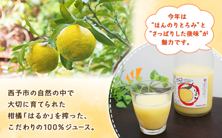 ＜はるかジュース 720ml×2本セット＞ 愛媛 果汁 100% はるか ジュース ストレート みかん じゅーす 100%ジュース セット 柑橘 果物 フルーツ 飲料 オレンジ 特産品 飲んで応援 渡江から一歩を踏み出す会 愛媛県 西予市【常温】『令和8年5月より順次出荷予定』ATI0037