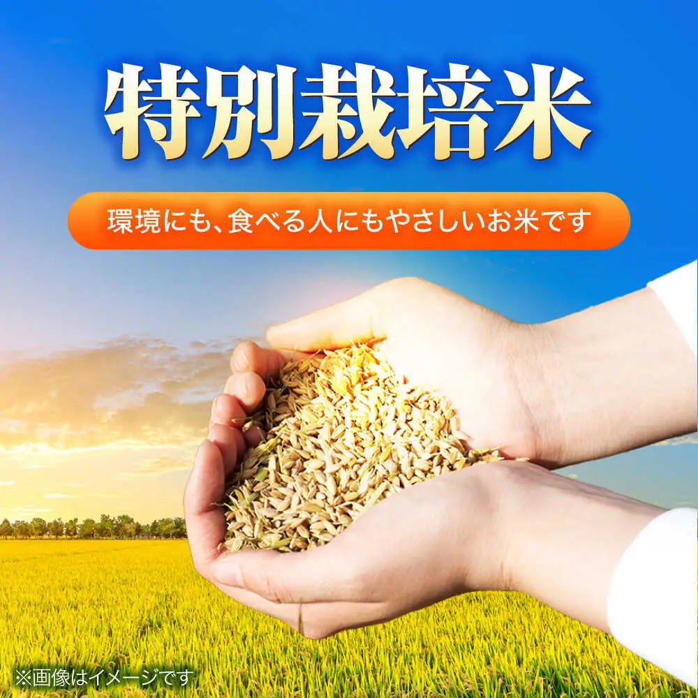 【 先行予約 /9月中旬以降発送】　【令和7年産】 福井県産 特別栽培米4 コシヒカリ 玄米 10kg×2 （20kg） / 米 お米 国産米 / 小浜市 / 北川博司[BFDG003]
