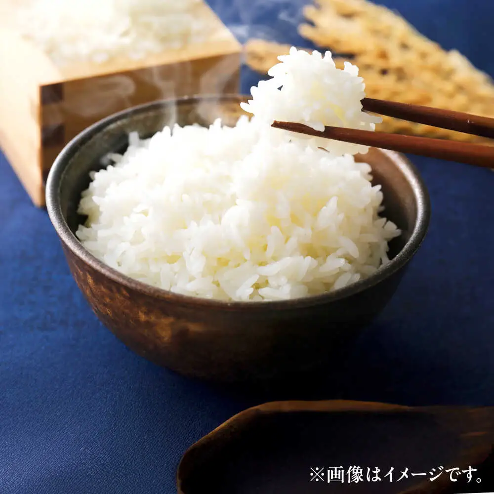 【令和8年産 新米】 【先行予約 / 8月下旬より順次発送 】 ハナエチゼン 白米 10kg / 米 お米 精米 小浜市 / 北川博司 [BFDG004]