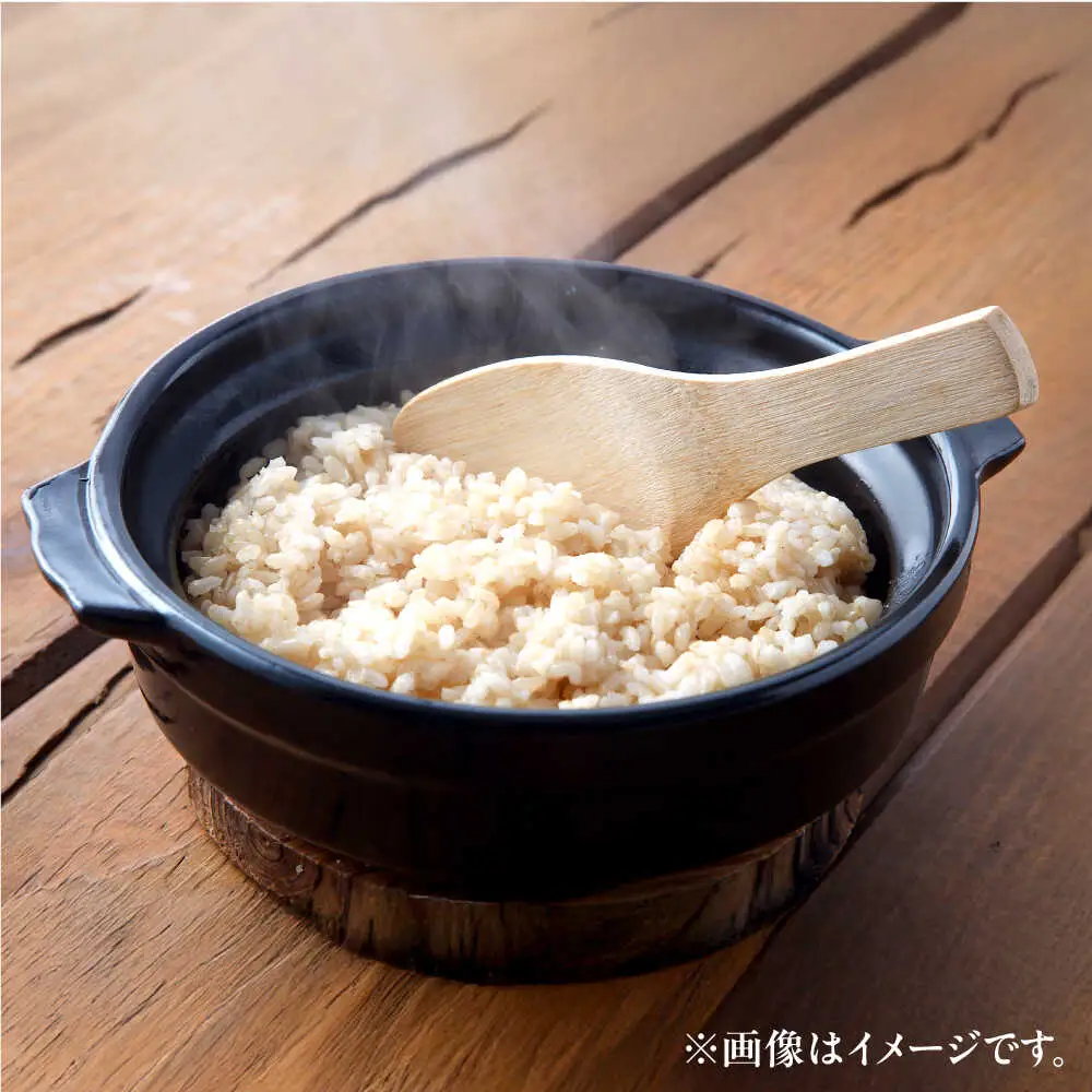 【令和8年産 新米】 【先行予約 /8月下旬より順次発送 】 ハナエチゼン 玄米 10kg×2 （20kg） / 米 お米 健康 小浜市 / 北川博司 [BFDG005]