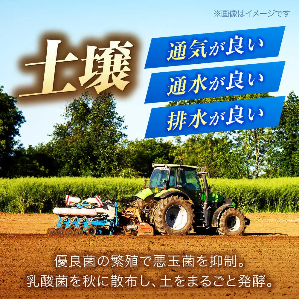 【令和8年産 新米】【 先行予約 /9月中旬から発送】　福井県産 ラクト農法 コシヒカリ 白米 10kg / 米 お米 精米 国産米   / 小浜市 / 北川博司 [BFDG006]